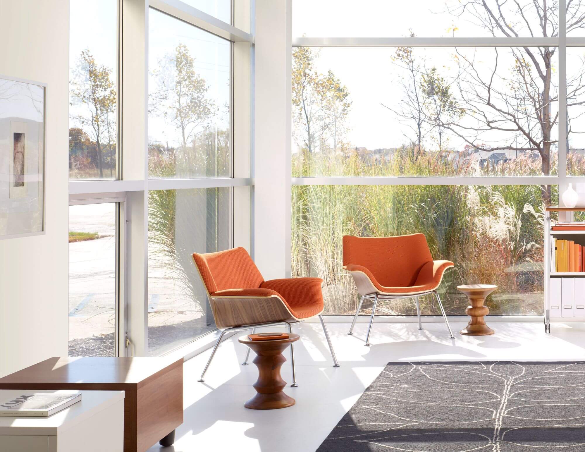 a modern space with tall windows featuring two Swoop Lounge Chairs in orange colour