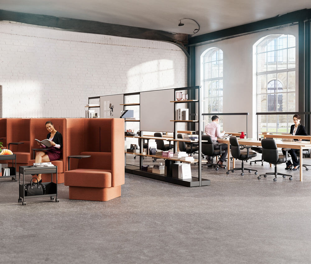 a modern commercial space in sydney with modern furniture procurement featuring two tall windows in the background
