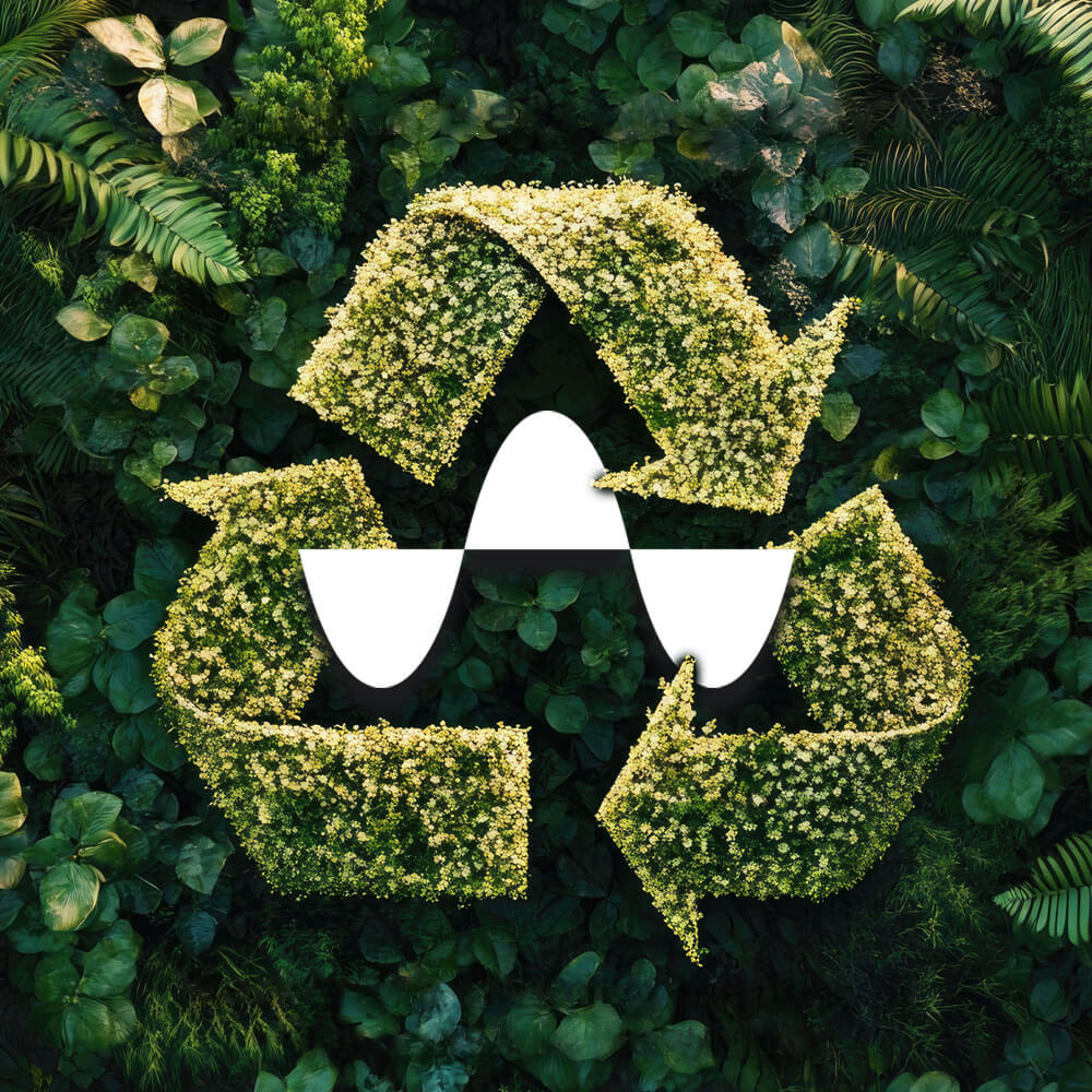 workarena sustainability with logo around green leaves